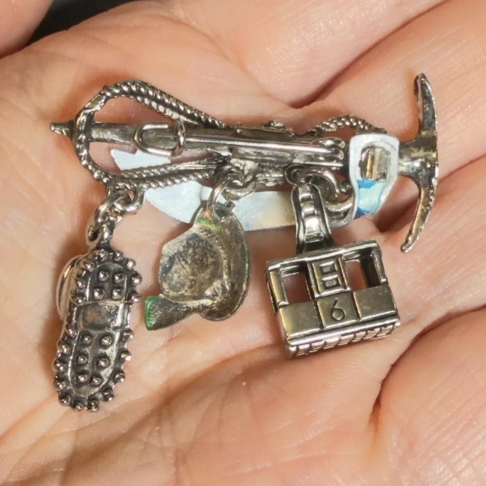 Salzburg Austria Souvenir Brooch Alpine Charm Pin Cable Car Hat Horn